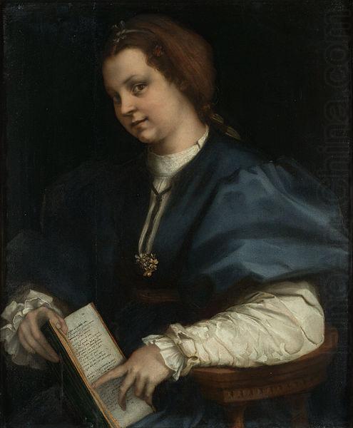 Andrea del Sarto Lady with a book of Petrarch's rhyme china oil painting image